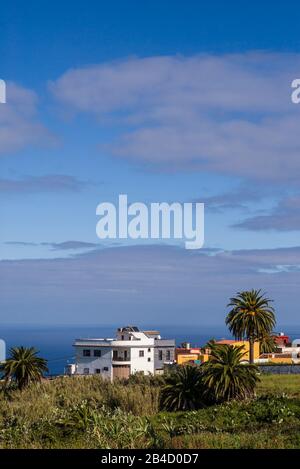 Spagna Isole Canarie Tenerife Island, Tacoronte, elevati vista villaggio Foto Stock