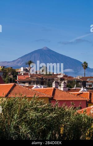Spagna Isole Canarie Tenerife Island, Tacoronte, la vista della città e di El Teide Mountain Foto Stock