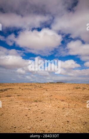 Spagna Isole Canarie Fuerteventura Island, punto de Paso Chico, costa ovest il paesaggio del deserto Foto Stock