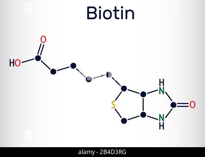 Biotina, molecola di vitamina B7. Formula chimica strutturale. Illustrazione del vettore Illustrazione Vettoriale