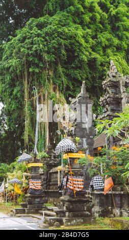 Ingresso al tempio di Bali con statua guardiana e Enorme albero di Banyan sullo sfondo. Indonesia. Foto Stock