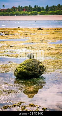 Pietre Zen-Like Coperte Con Moos On Beach Durante Low Tide, Nice Water Reflection, Nusa Dua, Bali, Indonesia. Foto Stock