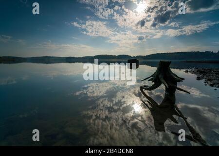 Deadwood sulla riva di un lago con riflessione di belle nuvole nella retroilluminazione Foto Stock