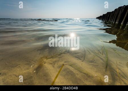 Mar Baltico, groynes Foto Stock