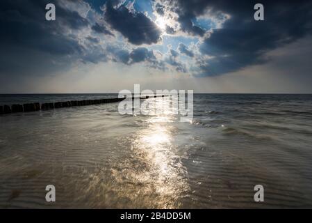 Mar Baltico, groynes Foto Stock