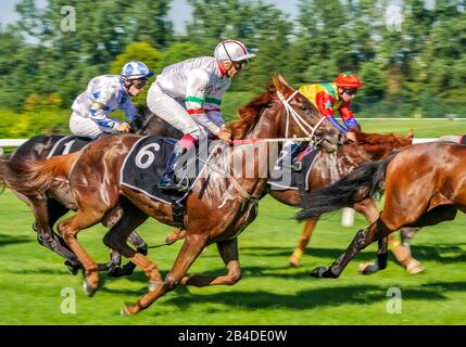 Corse di cavalli sull'ippodromo di Monaco Daglfing, alta Baviera, Baviera, Germania, Europa Foto Stock