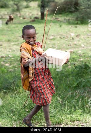 Tanzania, Tanzania settentrionale al termine della stagione delle piogge nel mese di maggio, Parco Nazionale Serengeti, Cratere Ngorongoro, Tarangire, Arusha e Lago Manyara, Villaggio Maasai nel Cratere Ngorongoro. Foto Stock