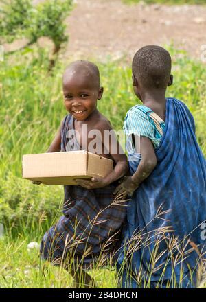 Tanzania, Tanzania settentrionale al termine della stagione delle piogge nel mese di maggio, Parco Nazionale Serengeti, Cratere Ngorongoro, Tarangire, Arusha e Lago Manyara, Villaggio Maasai nel Cratere Ngorongoro. Foto Stock