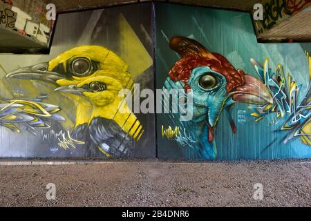 Ritratti di uccelli, graffiti sotto un ponte automobilistico, Karlsruhe, Baden-Wurttemberg, Germania Foto Stock