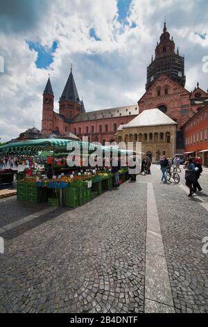 Mercato bancarelle sulla piazza del mercato, dietro di loro il Hohe Dom Sankt Martin zu Mainz, Renania-Palatinato, Germania Foto Stock
