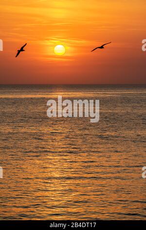 Gallipoli, Provincia Di Lecce, Salento, Puglia, Italia, Europa. Tramonto a Gallipoli Foto Stock