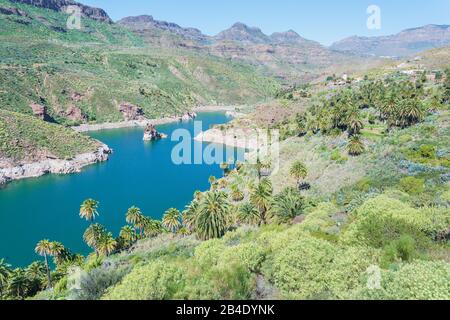 Fiume che scorre attraverso la montagna, vista in elevazione, Gran Canaria Isole Canarie Spagna Foto Stock