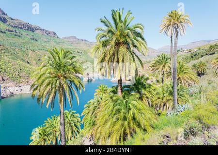 Fiume che scorre attraverso la montagna, vista in elevazione, Gran Canaria Isole Canarie Spagna Foto Stock