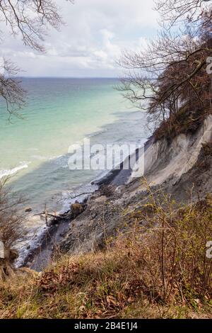 Europa, Dänemark, Møn, Blick auf die wilde Uferzone der Kreidefelsen von Møns Klint, Foto Stock