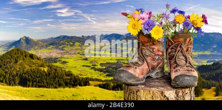 Wanderschuhe mit Blumen in schöner bayerischer Landschaft [M] Foto Stock