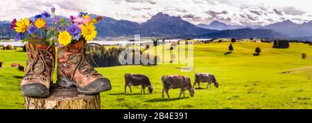 Wanderschuhe mit Blumen in schöner bayerischer Landschaft [M] Foto Stock