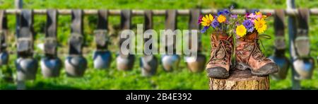 Wanderschuhe mit Blumen in schöner bayerischer Landschaft [M] Foto Stock