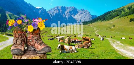 Wanderschuhe mit Blumen in schöner bayerischer Landschaft [M] Foto Stock