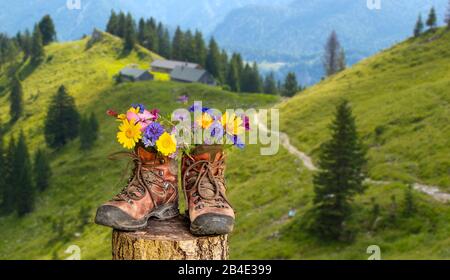 Wanderschuhe mit Blumen in schöner bayerischer Landschaft [M] Foto Stock