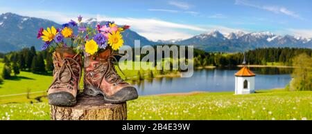 Wanderschuhe mit Blumen in schöner bayerischer Landschaft [M] Foto Stock