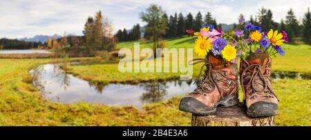 Wanderschuhe mit Blumen in schöner bayerischer Landschaft [M] Foto Stock