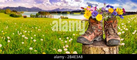 Wanderschuhe mit Blumen in schöner bayerischer Landschaft [M] Foto Stock