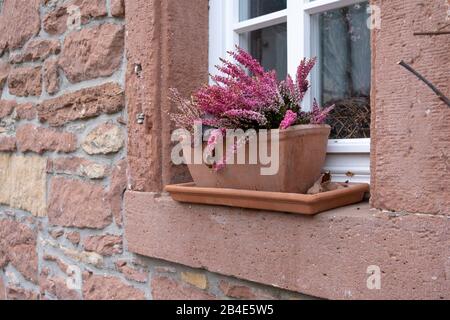 Germania, Rheinland-Pfalz, Gleiszellen-Gleishorbach, Foto Stock