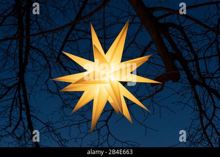 Germania, stella di natale in un albero. Foto Stock