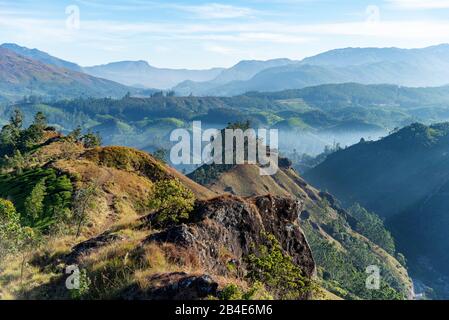India, Kerala, Munnar, picco Anamudi, paesaggio, catena montuosa, escursioni Foto Stock