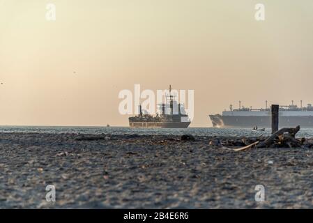 India, Kelala, Kochi, Fort Kochi Beach, Foto Stock