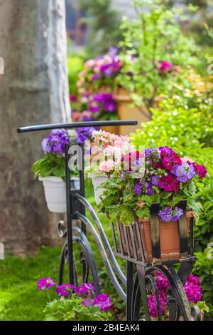 Azerbaigian, Baku, bicicletta con fiori dettaglio, piccola città park Foto Stock