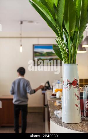 Laos, Luang Prabang, dettaglio interno caffetteria Foto Stock