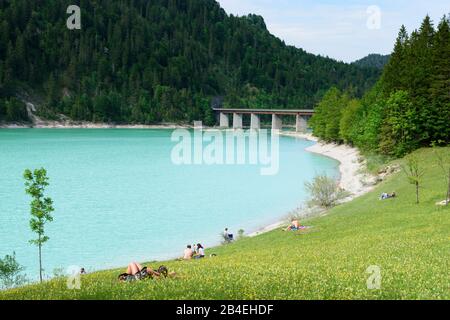 Lenggries, riserva Sylvensteinspeicher (Sylvenstein Dam) del fiume Isar, bather in Oberbayern, Garmisch-Partenkirchen, alta Baviera, Baviera / Baviera, Germania Foto Stock