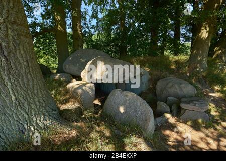 Tombe megalitiche della cultura del bicchiere a imbuto neolitico a Lancken-Granitz a Rügen, distretto di Vorpommern-Rügen, Mecklenburg-Vorpommern, Germania Foto Stock