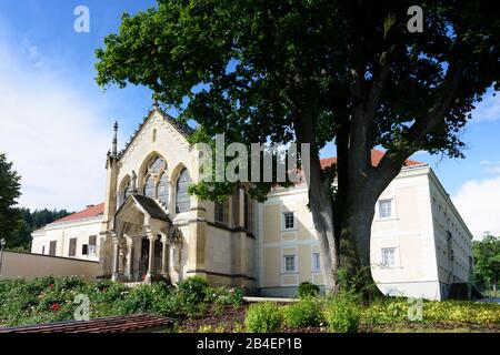 Alland, ex castello Schloss Mayerling, oggi Karmel St. Josef, chiesa a Wienerwald, Bosco di Vienna, Niederösterreich, Bassa Austria, Austria Foto Stock