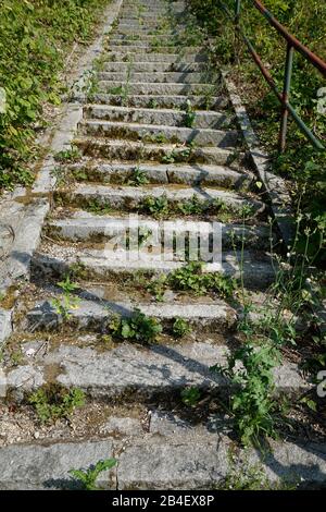 Germania, Baviera, alta Baviera, Neuötting, vecchia scala in pietra, sorpassata di erbacce, cespugli Foto Stock