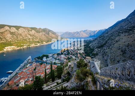 Città vecchia di Cattaro e Dobrota, fortezza Sveti Ivan, Baia di Cattaro, Montenegro Foto Stock