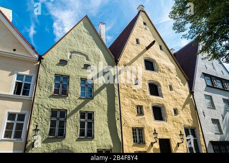 Estland, Tallinn, Città Vecchia, Lai, Kolm Venda (tre fratelli), case di commercio e di stoccaggio tardo gotico Foto Stock