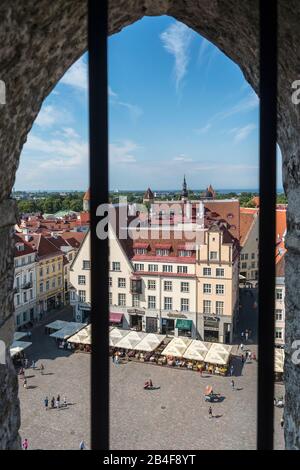 Estonia, Tallinn, vista dalla Torre del Municipio alla Piazza del Municipio Foto Stock
