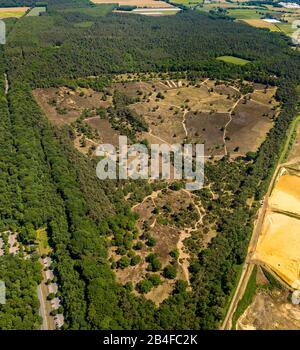 Veduta aerea della brughiera di Westruper in Haltern am See nel parco naturale di Hohe Mark-Westmünsterland nello stato della Renania Settentrionale-Vestfalia, Germania