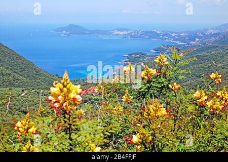 Il paesaggio e la costa a sud di Sivota nel nord della Grecia, Griechenland Foto Stock