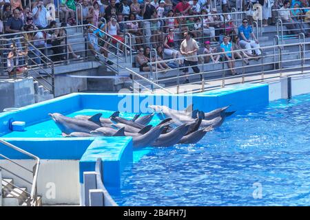 Acquario Oceanografico, Città Delle Arti E Delle Scienze, Valencia, Comunidad Autonoma De Valencia, Spagna Foto Stock