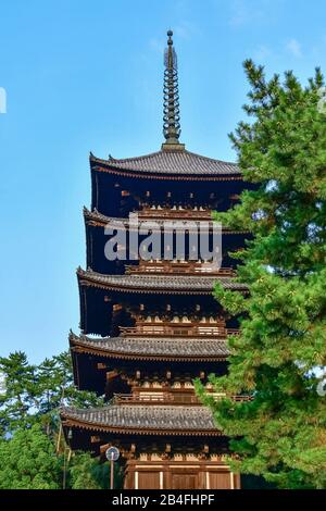 Pagoda A Cinque Piani Di Kohfukuji, Tempio Di Kohfukuji, Parco Nara, Nara, Hondhu, Giappone Foto Stock