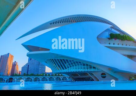 Reina Sofia Palazzo delle Arti, Città delle Arti e delle Scienze di Valencia, Spagna, Europa Foto Stock