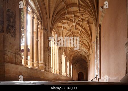 Chiostro, chiesa e convento di San Esteban, Convento di San Esteban, Salamanca, Castilla y León, Spagna, Europa Foto Stock