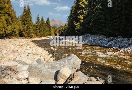 Foresta fiume Bela con piccole pietre rotonde e alberi di conifere su entrambi i lati, il sole splende per il monte Krivan picco - simbolo slovacco - in distanza. Foto Stock