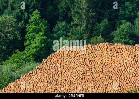 Sankt Georgen am Längsee, tronchi di alberi rotondi impilati, foresta di Kärnten / Carinzia, Austria Foto Stock