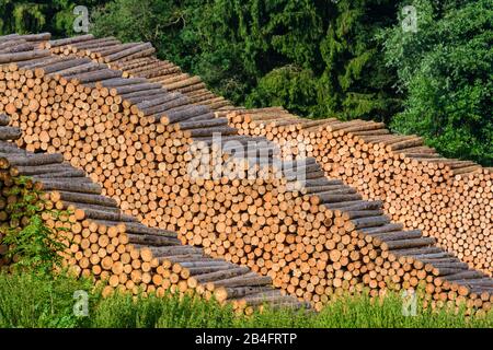 Sankt Georgen am Längsee, tronchi di alberi rotondi impilati, foresta di Kärnten / Carinzia, Austria Foto Stock