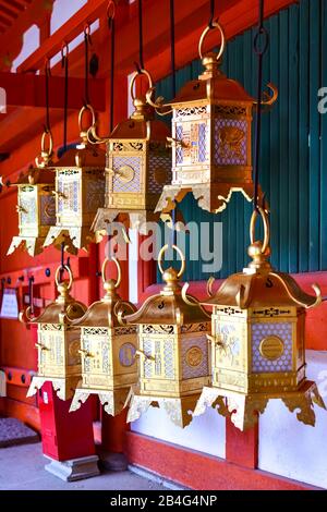Lanterne in bronzo ornate presso il santuario principale, il Santuario Kasuga-taisha, Nara, Honshu, Giappone Foto Stock