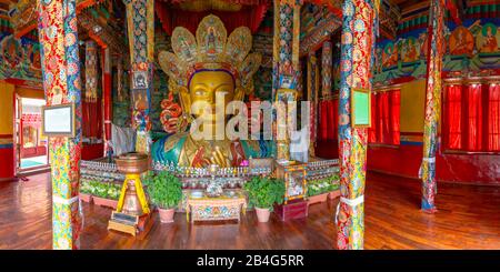 Statua del Buddha, Maitreya, monastero di Tikse Yellowstone, Ladakh, jammu e Kashmir, Himalaya indiana, India, Asia Foto Stock
